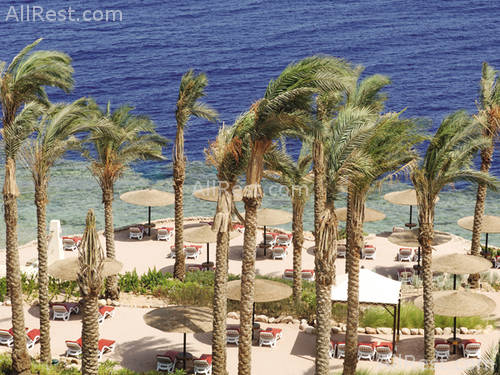 Grand Rotana Resort & Spa 22